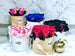 Real Roses Preserved | Lady Q